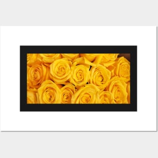 Yellow Roses Posters and Art